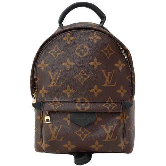 Louis Vuitton Palm Backpack Springs Monogram - Picture 2 of 8